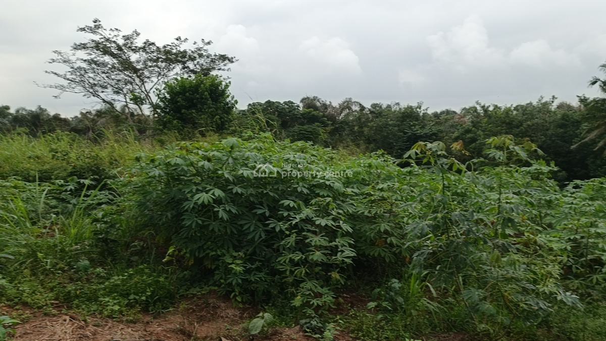 Full Plot of Dry Level Up Land in a Fast Developing Community, Ito Inside, Isiu, Ikorodu, Lagos, Residential Land for Sale