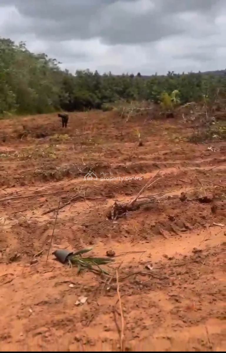 Acres of C of O Farmland with Free Cultivation and Management, Aiyetoro, Imeko Afon, Ogun, Commercial Land for Sale