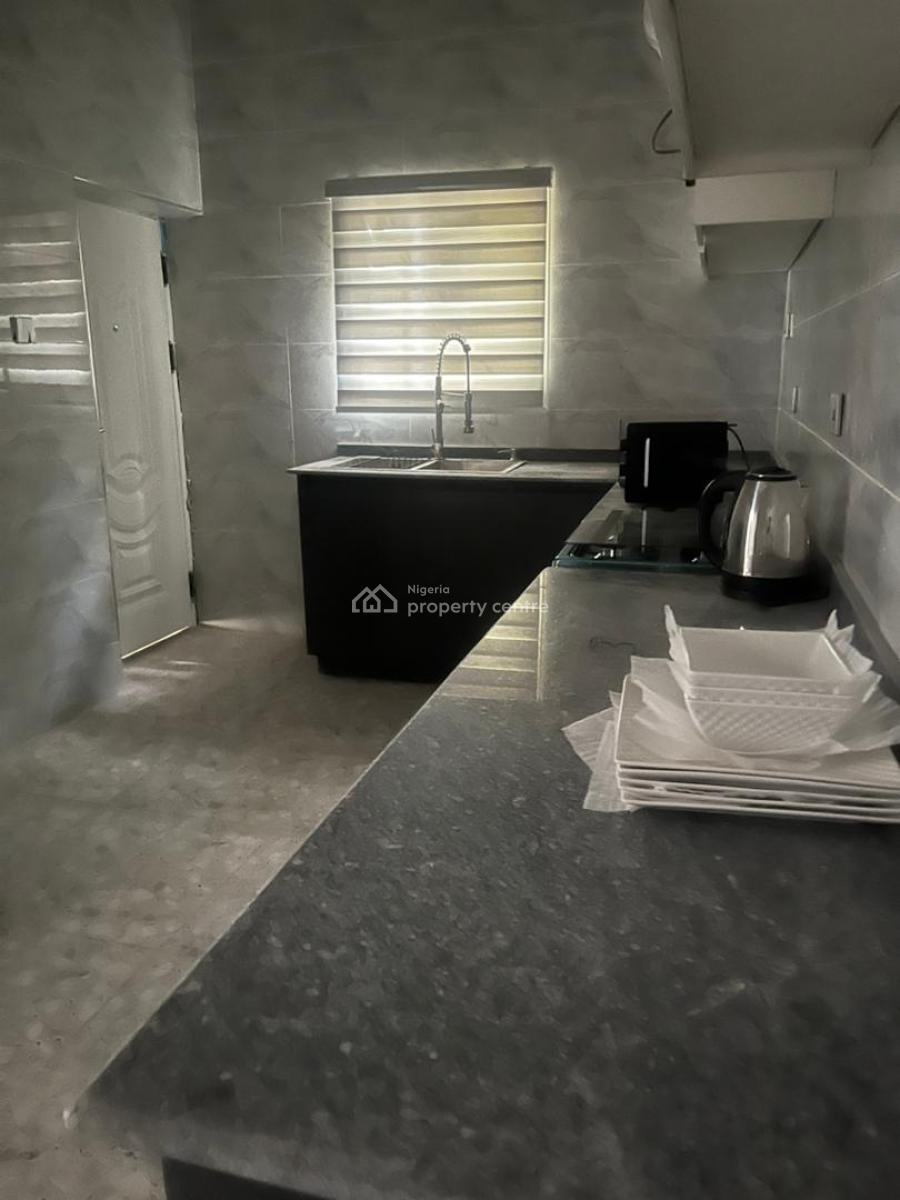 Newly Furnished 2 Bedroom Flat All Rooms in Suite with a Swimming Pool, Asokoro District, Abuja, Flat / Apartment for Rent