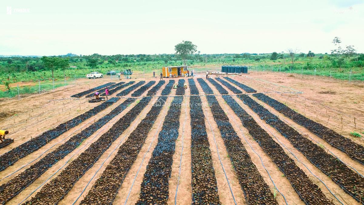 Affordable Farm Land with C of O, Iseyin - Saki Road, Ibadan, Oyo, Commercial Land for Sale