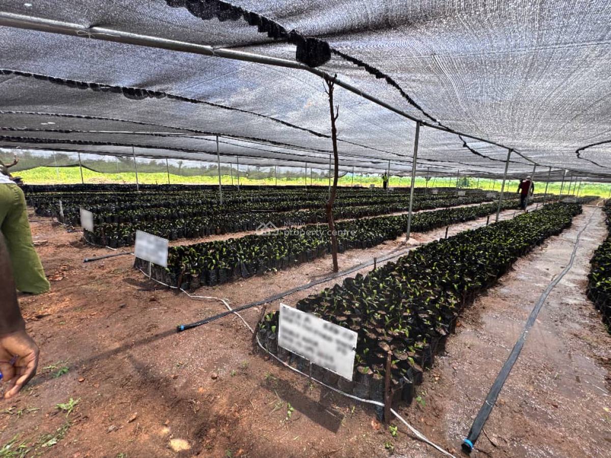 Land, Palm City Estate, Ogbomosho North, Oyo, Commercial Land for Sale