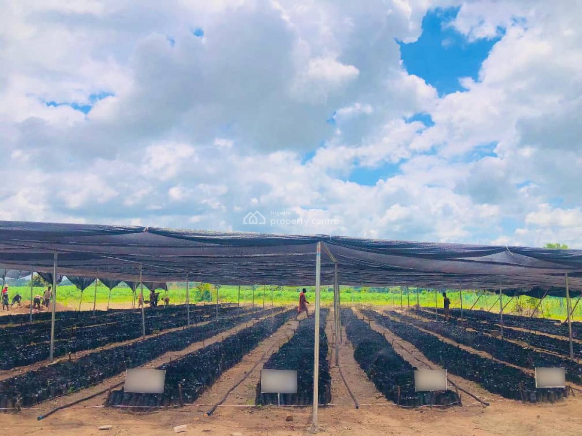 Land, Palm City Estate, Ogbomosho North, Oyo, Commercial Land for Sale