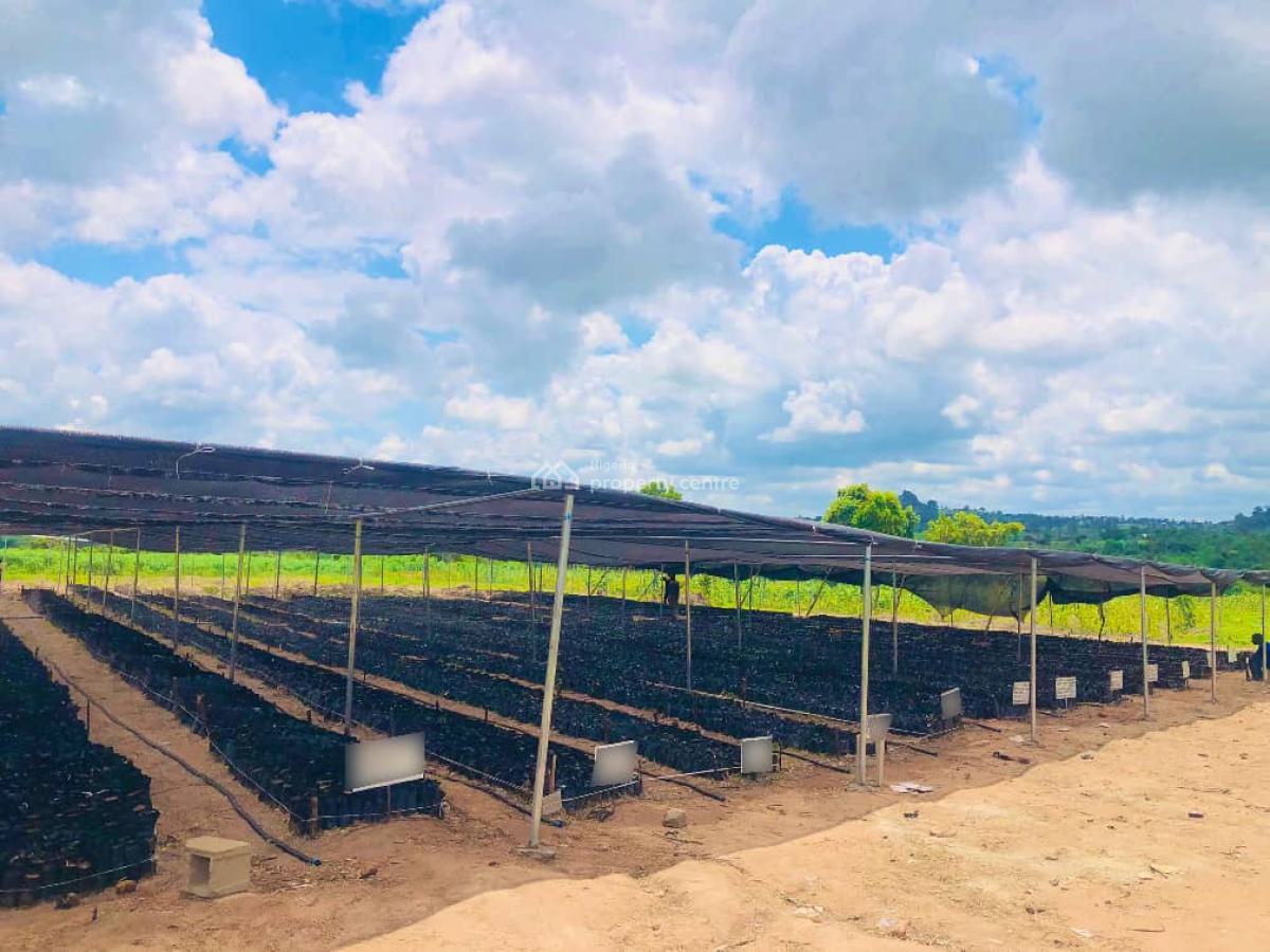 Land, Palm City Estate, Ogbomosho North, Oyo, Commercial Land for Sale