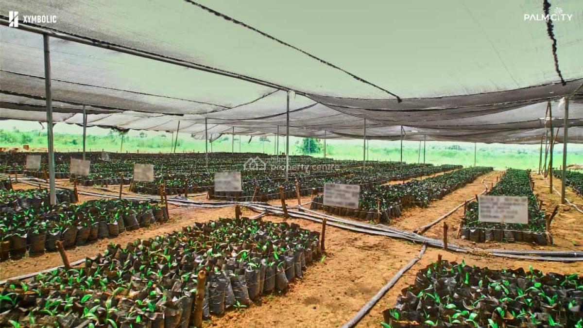 Land, Palm City Estate, Ogbomosho North, Oyo, Commercial Land for Sale