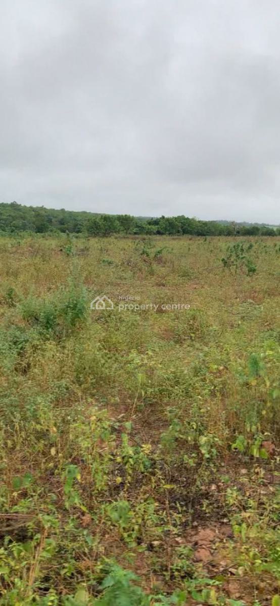 Own Land + Agriculture in One Smart Investment!, Enjoy 5% Discount When You Buy 5 Acres and Above, Abeokuta South, Ogun, Land for Sale