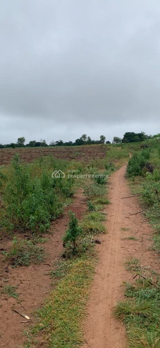 Own Land + Agriculture in One Smart Investment!, Enjoy 5% Discount When You Buy 5 Acres and Above, Abeokuta South, Ogun, Land for Sale