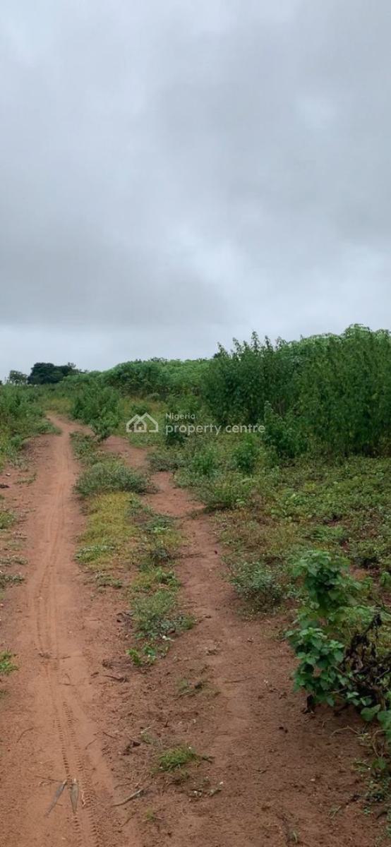 Own Land + Agriculture in One Smart Investment!, Enjoy 5% Discount When You Buy 5 Acres and Above, Abeokuta South, Ogun, Land for Sale