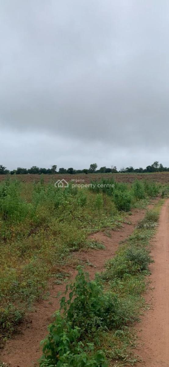 Own Land + Agriculture in One Smart Investment!, Enjoy 5% Discount When You Buy 5 Acres and Above, Abeokuta South, Ogun, Land for Sale