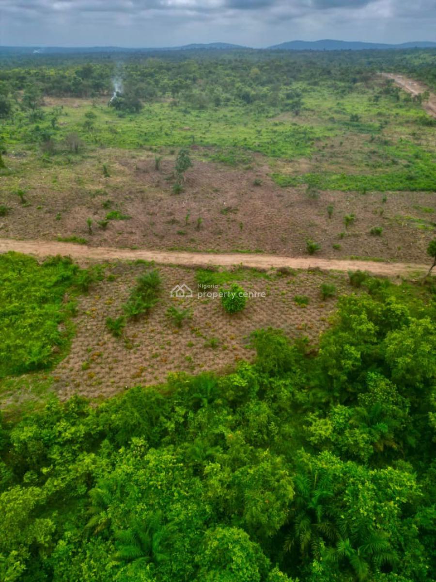Own a Fertile Farmland ,earn From Agriculture Without Lifting a Finger, Buy 5 Plots, Get 1 Plot Free, Flexible Payment Plan Available, Abeokuta South, Ogun, Mixed-use Land for Sale