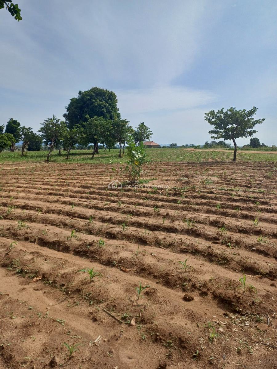 1000sqm, Classic City Guzape Main, Guzape District, Abuja, Mixed-use Land for Sale