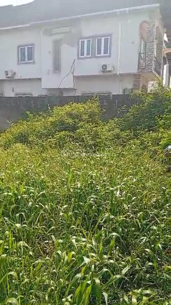 2 Plots of Vigin Land for 1,300sqms, Off Mobil Road, Ilaje, Ajah, Lagos, Mixed-use Land for Sale