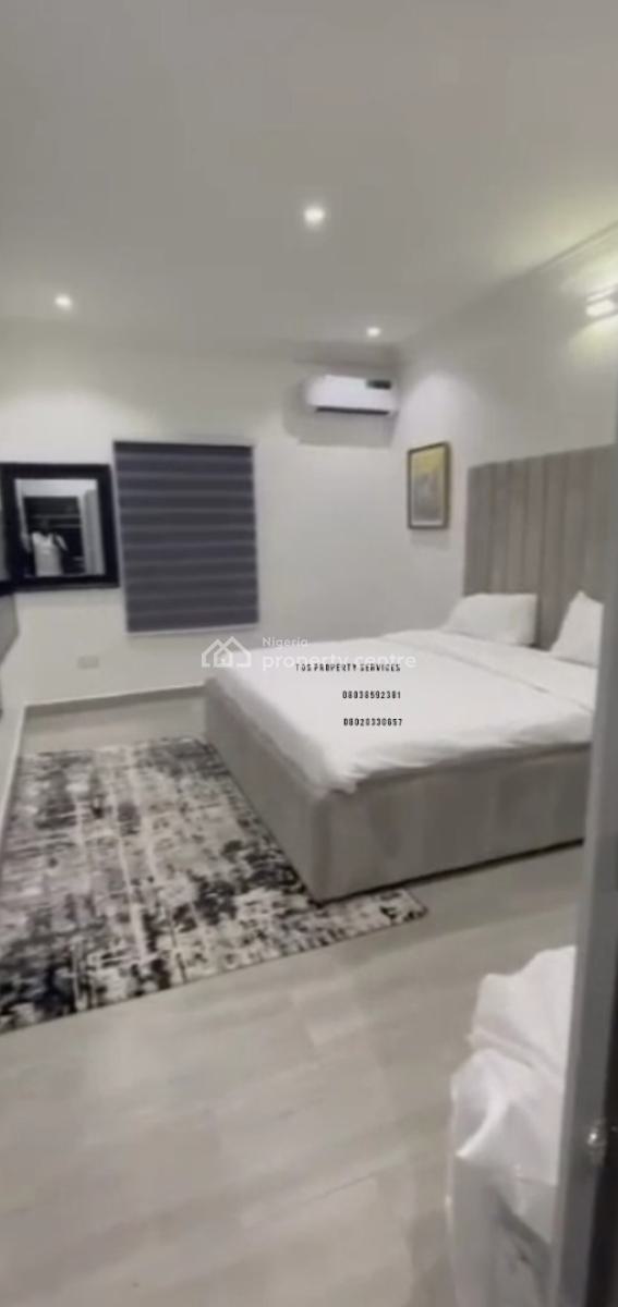 Fully Furnished 2 Bedroom Apartment, Ikoyi, Ikoyi, Lagos, Flat / Apartment for Rent