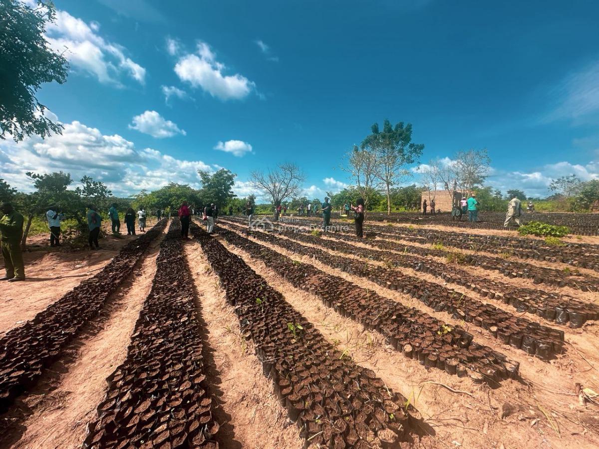 Land with C of O, Palm Crest 2, Off Afon Road, Imeko Afon, Ogun, Mixed-use Land for Sale