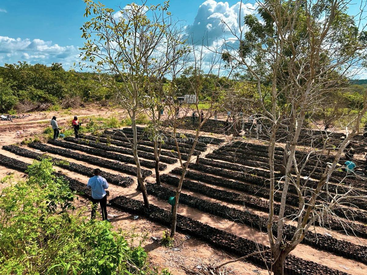 Land with C of O, Palm Crest 2, Off Afon Road, Imeko Afon, Ogun, Mixed-use Land for Sale