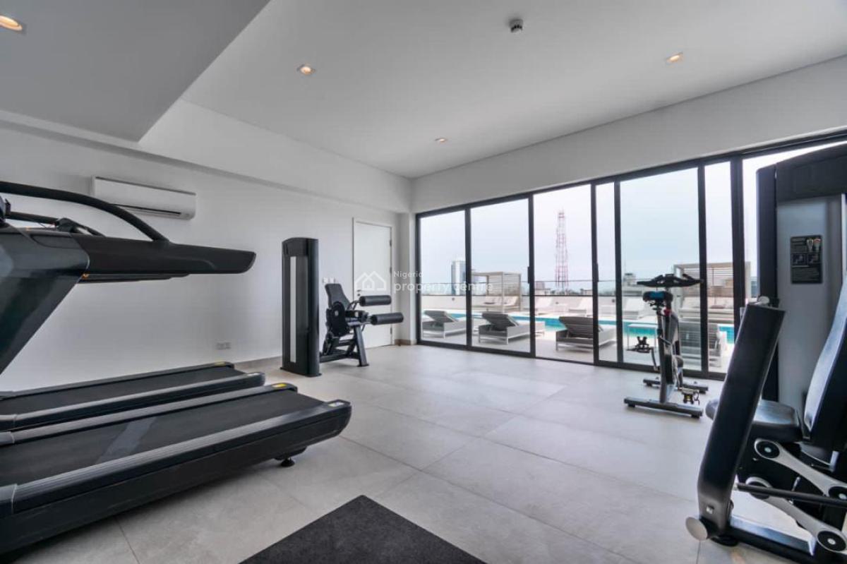 Exquisitely Furnished 2-bedroom Penthouse, Victoria Island (vi), Lagos, House for Rent