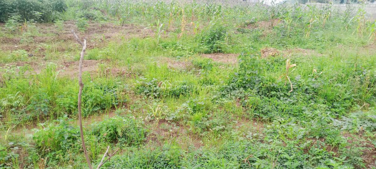 1.11 Hectares Commercial Land, By Next Cash & Carry, Katampe, Abuja, Commercial Land for Sale