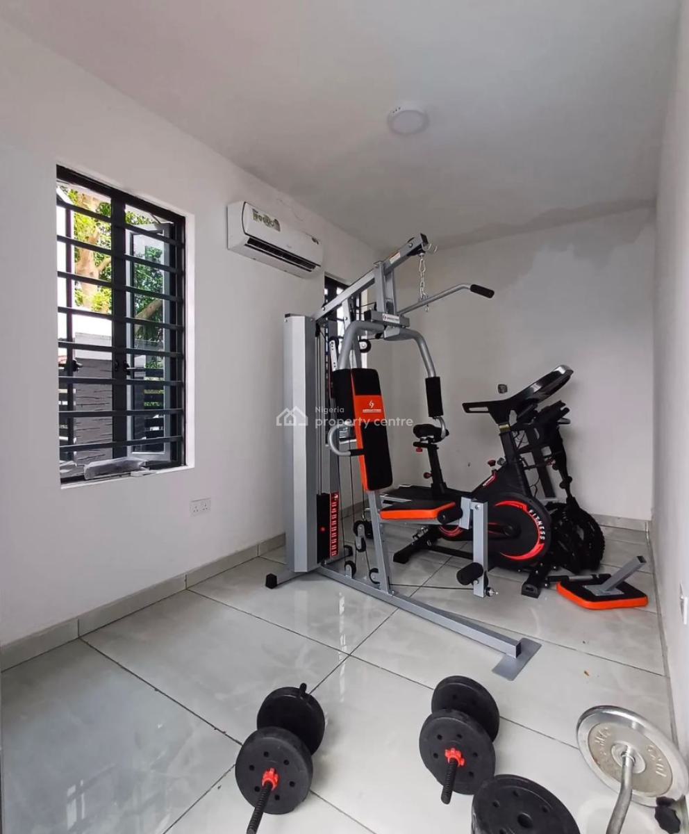 Classy Luxury Brand New Perfectly Furnished with a B Q, Oniru, Victoria Island (vi), Lagos, Terraced Duplex for Rent