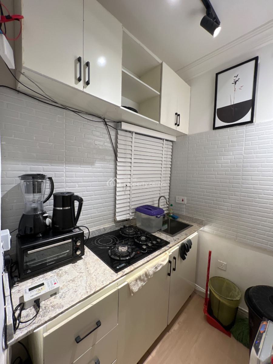 Furnished Cozy Studio Apartment, 810, Dahiru Musdafa Blvd, Wuye, Abuja, Flat / Apartment for Rent