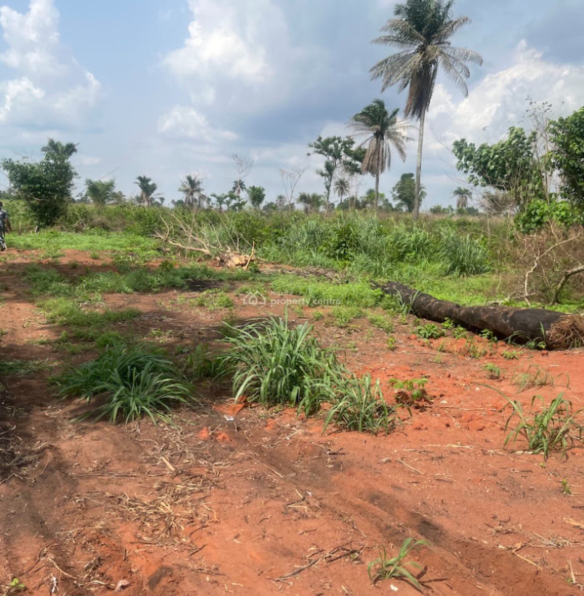 Govt Approved Estate in Developing Location, New City Estate, Okwu Ogbaku, Off Onitsha - Owerri Express Road, Ogbaku, Mbaitoli, Imo, Mixed-use Land for Sale