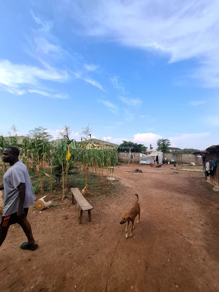 Genuine and Verified 1000 Sqm Land, Durumi, Abuja, Residential Land for Sale