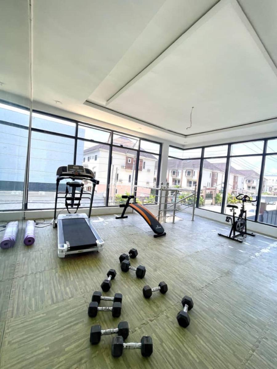 Brand New 4 Bedroom Terrace Duplex with Gym, Swimming Pool and Bq, Ikate, Lekki, Lagos, Terraced Duplex for Rent