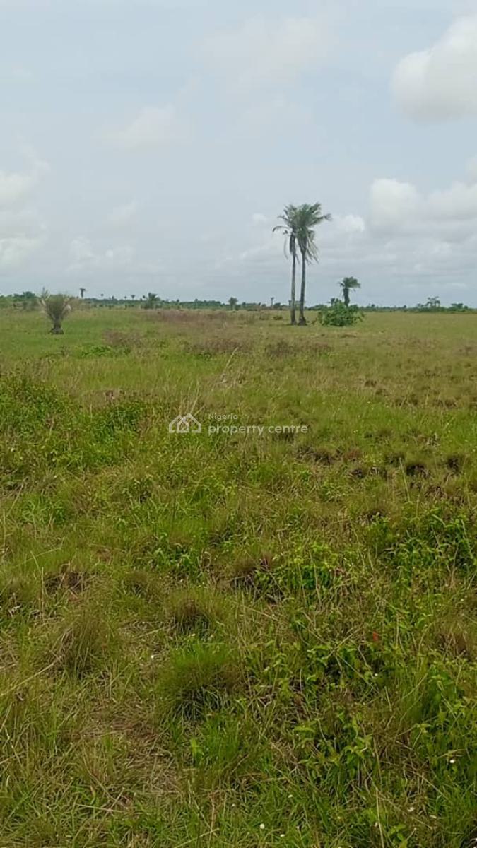 1,200sqm (2 Plots of Land), Emerald Garden City, Ibeju Lekki, Lagos, Residential Land for Sale
