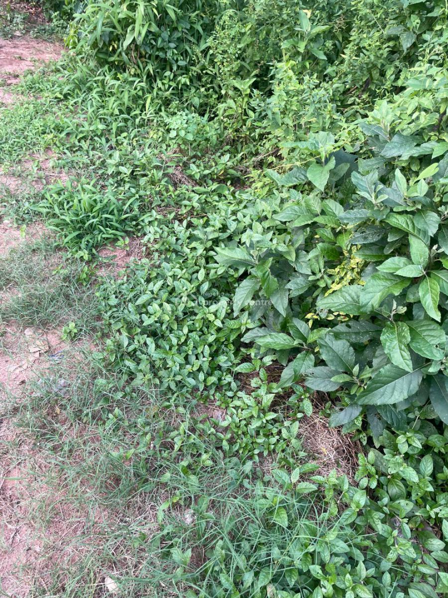 2.7 Hectares of Garden Land, Durumi Abuja, Durumi, Abuja, Commercial Land for Sale