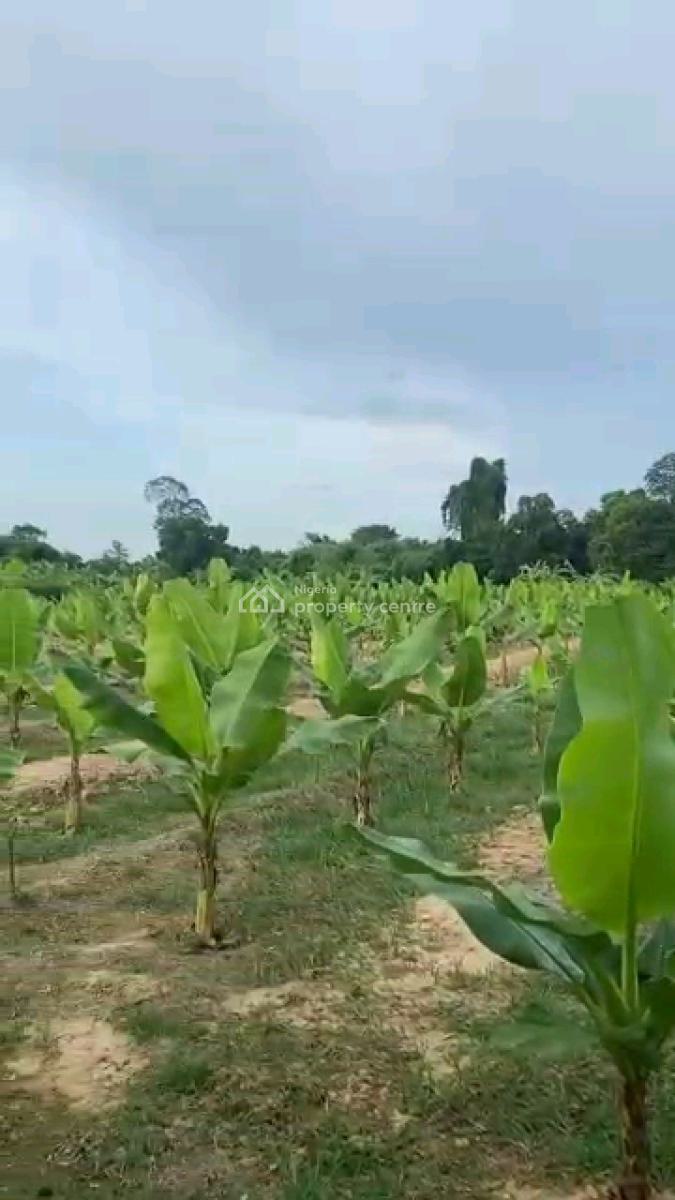 6 Plots of Plantain Farm, Plantain Farm, Ewekoro, Ogun, Land for Sale