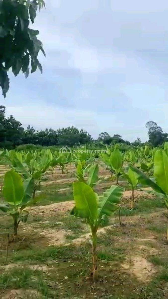 6 Plots of Plantain Farm, Plantain Farm, Ewekoro, Ogun, Land for Sale