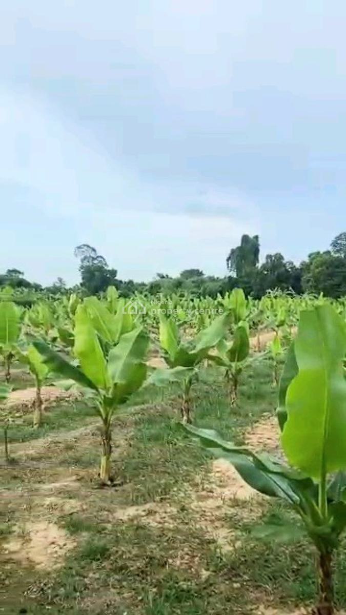 6 Plots of Plantain Farm, Plantain Farm, Ewekoro, Ogun, Land for Sale