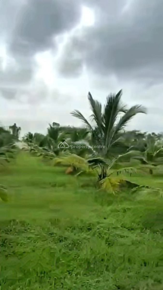 6 Plots of Coconut Farm, Coconut Farm, Ewekoro, Ogun, Land for Sale