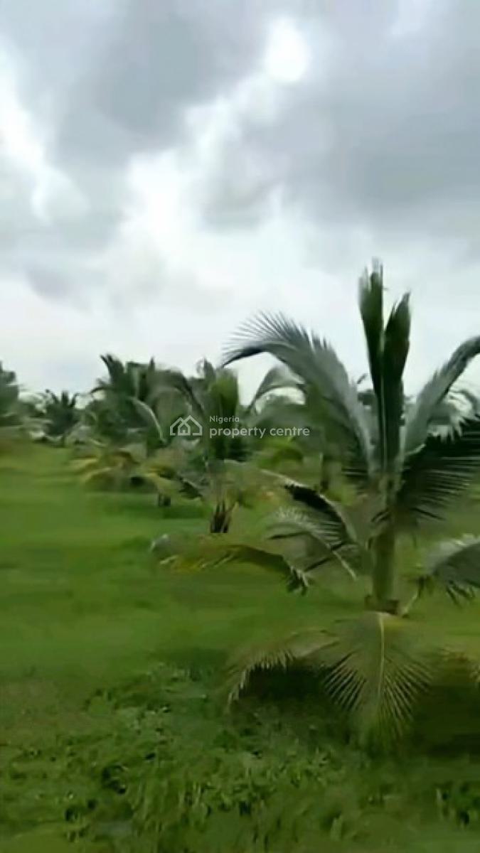 6 Plots of Coconut Farm, Coconut Farm, Ewekoro, Ogun, Land for Sale
