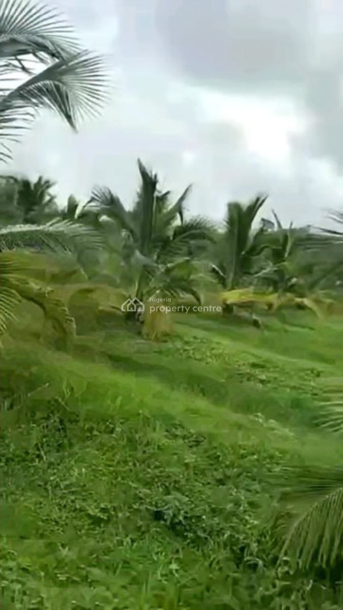 6 Plots of Coconut Farm, Coconut Farm, Ewekoro, Ogun, Land for Sale