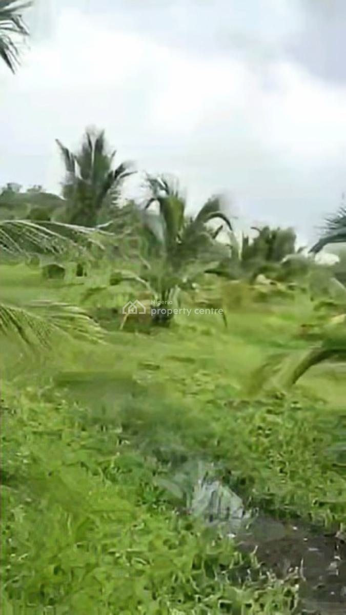 6 Plots of Coconut Farm, Coconut Farm, Ewekoro, Ogun, Land for Sale