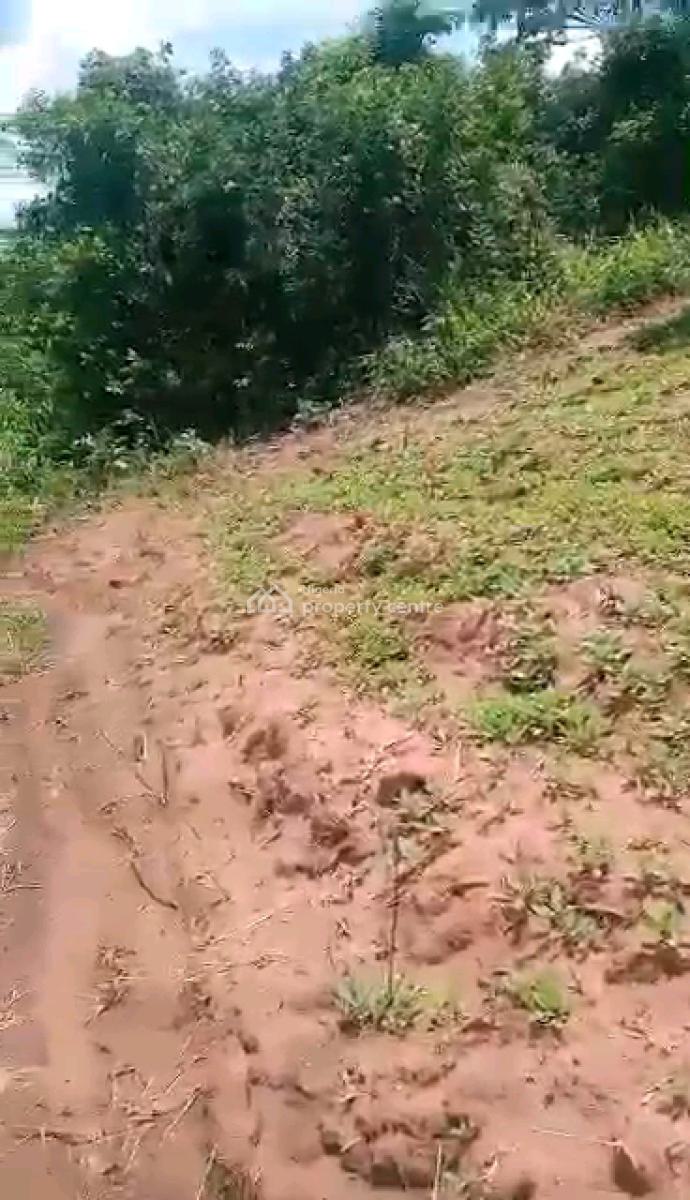 6 Plots of Farmland, Wasimi Farmland, Ewekoro, Ogun, Land for Sale