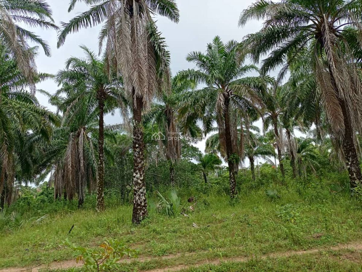 500 Hectares of Farmland with Palm Trees, Ifeolukotun, East, Yagba, Kogi, Commercial Land for Sale
