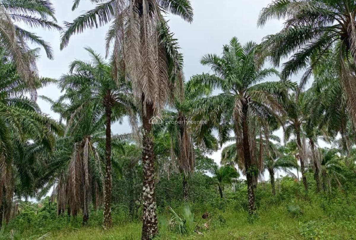 500 Hectares of Farmland with Palm Trees, Ifeolukotun, East, Yagba, Kogi, Commercial Land for Sale