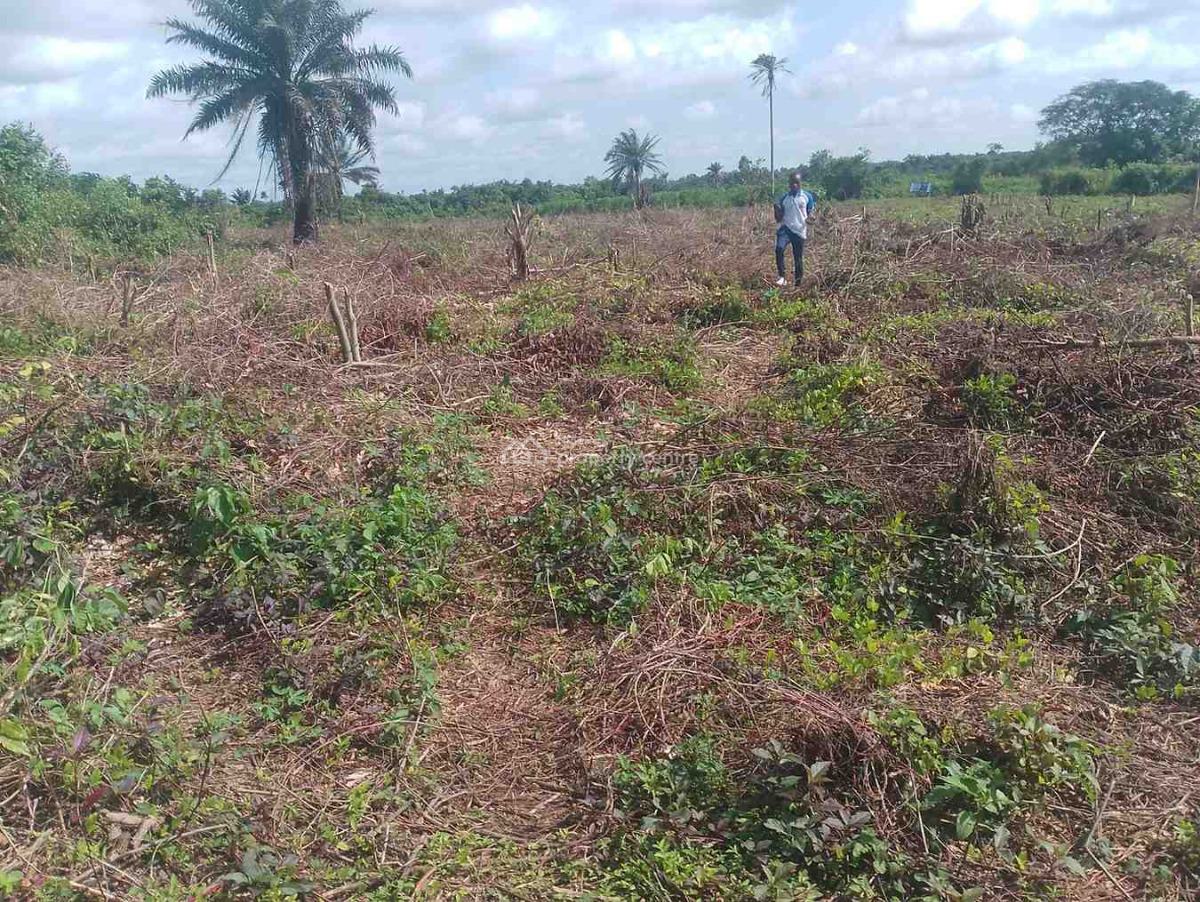 Dry Land in a Developed Community, After Epe Toll Gate, Epe, Lagos, Land for Sale