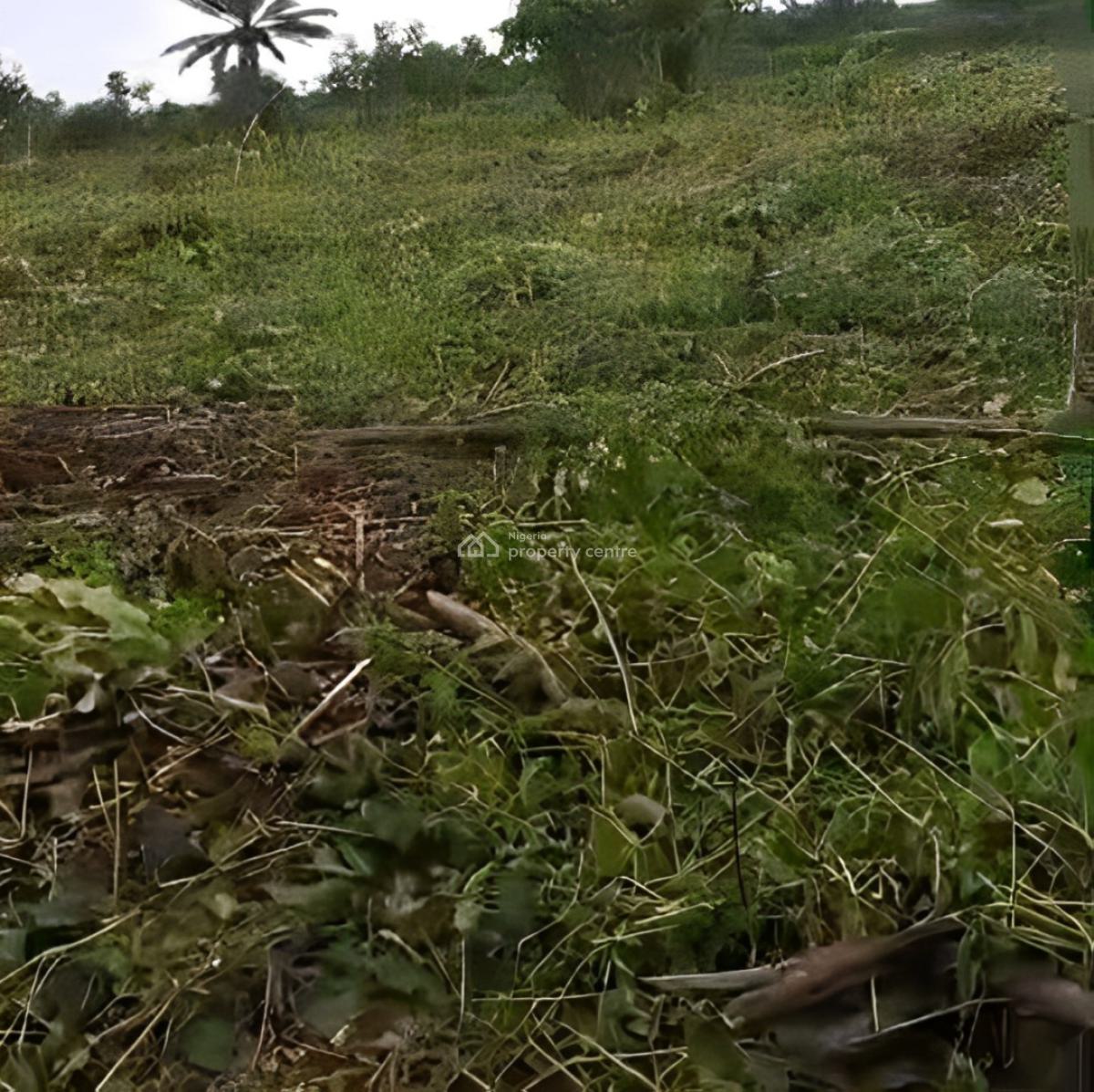 Dry Estate Land, Elerangbe, Ibeju Lekki, Lagos, Land for Sale