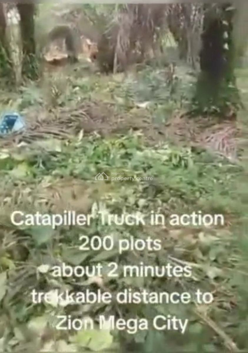Land at Evg.ebuka Obi, Owerri, Zion Ministry Church Owerri, Ngor Okpala, Ngor Okpala, Imo, Land for Sale