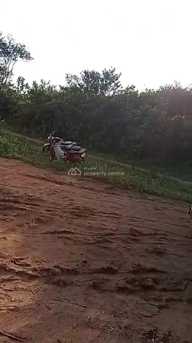 Land at Developing Environment in Uborji Okuku, Near Akanawo Estate Sa, Uborji Okuku, Near Akanawo Estate Same Okuku, After Umuguma World Bank, Umuguma, Owerri Municipal, Imo, Land for Sale