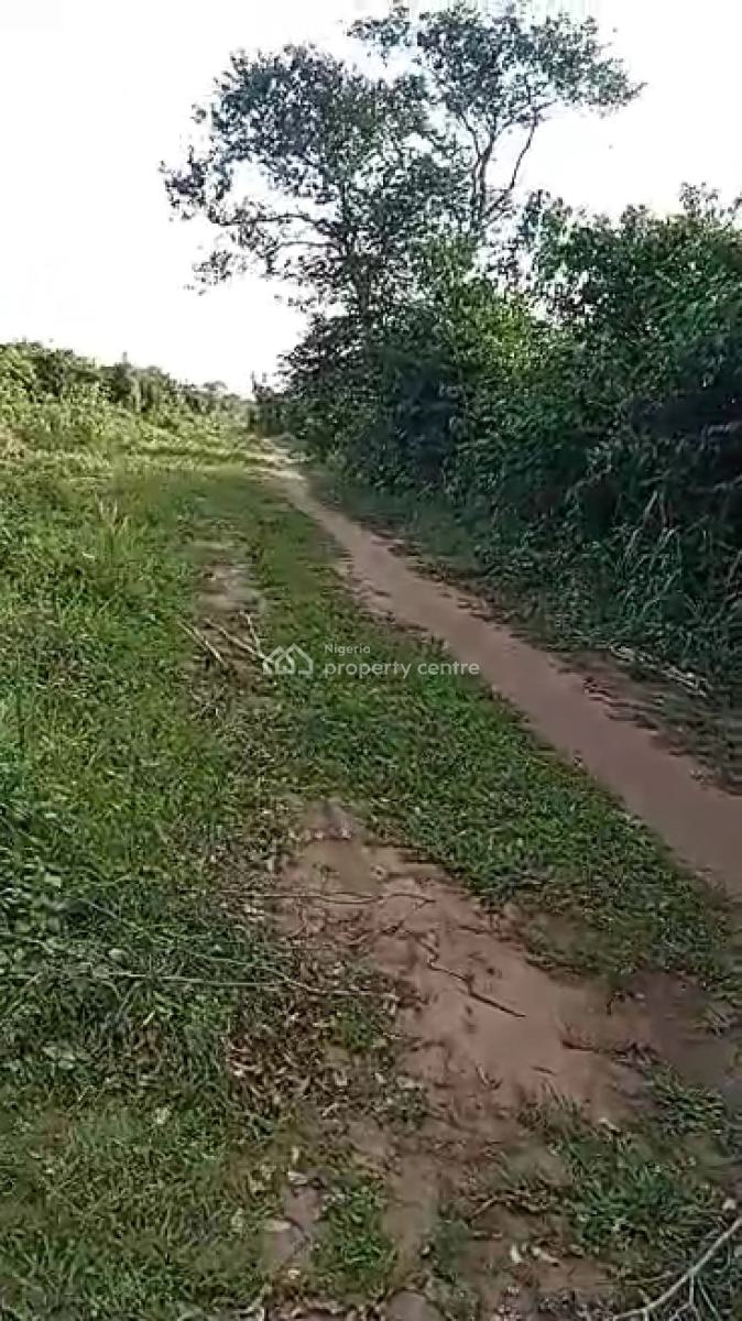 Land at Developing Environment in Uborji Okuku, Near Akanawo Estate Sa, Uborji Okuku, Near Akanawo Estate Same Okuku, After Umuguma World Bank, Umuguma, Owerri Municipal, Imo, Land for Sale