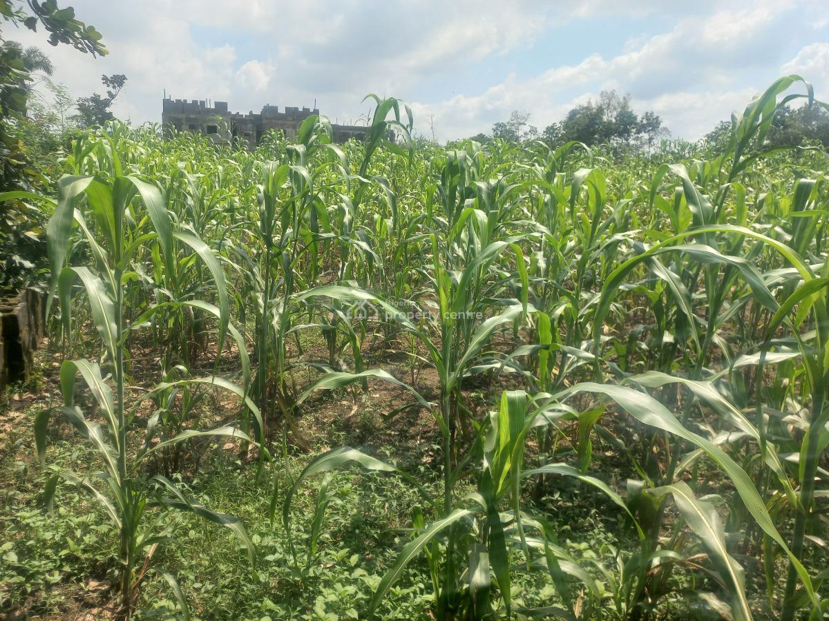 Awesome and Flat Land and Fenced 1233sqm  Is Available, Near Paradise Estate, Kaura, Abuja, Residential Land for Sale