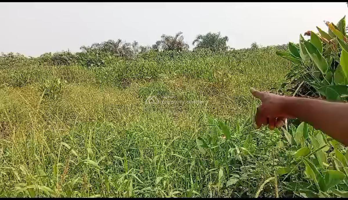 a Full Plot of Land, New Land Estate, 6th Avenue, Festac, Amuwo Odofin, Lagos, Residential Land for Sale