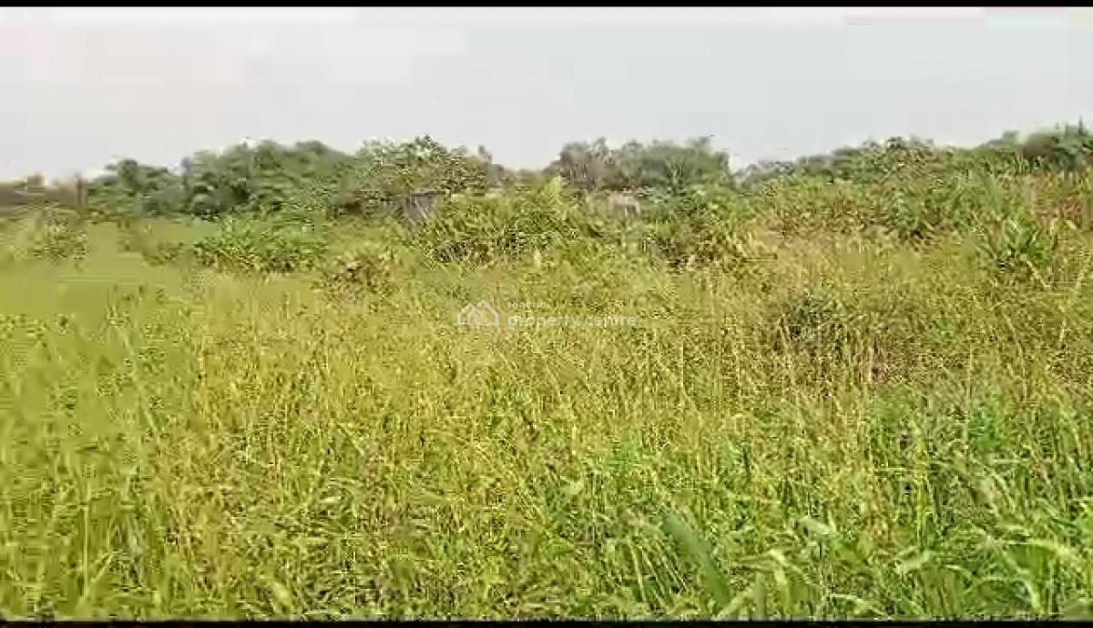 a Full Plot of Land, New Land Estate, 6th Avenue, Festac, Amuwo Odofin, Lagos, Residential Land for Sale