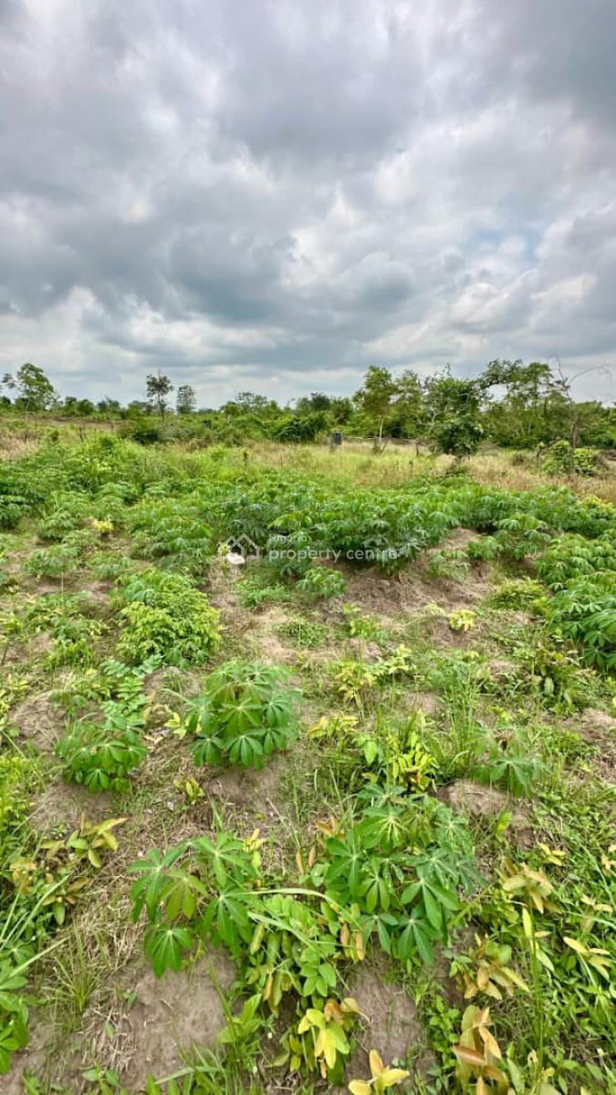 Acres and Hectares of Land with a Promo Offer & Flexible Payment Plan, Own Fertile Farmland with Easy Access to Funaab, Abeokuta North, Ogun, Mixed-use Land for Sale