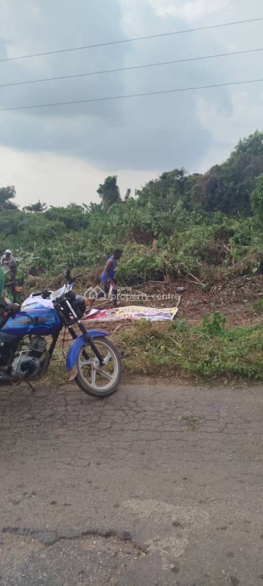 Dry Land Facing The Road, Facing The Road, Owode, Obafemi Owode, Ogun, Land for Sale