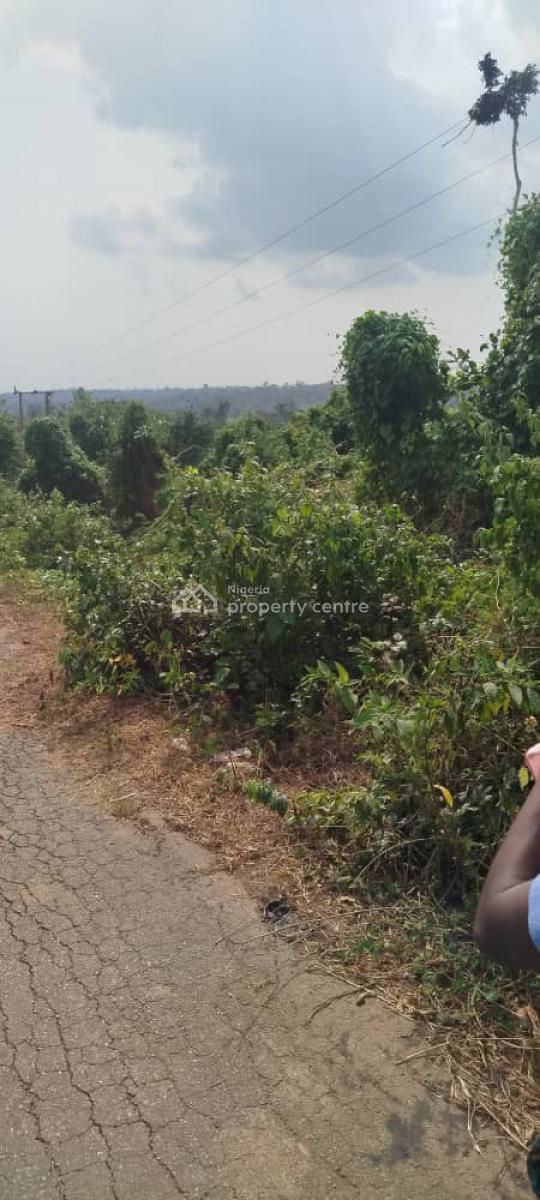 Dry Land Facing The Road, Facing The Road, Owode, Obafemi Owode, Ogun, Land for Sale