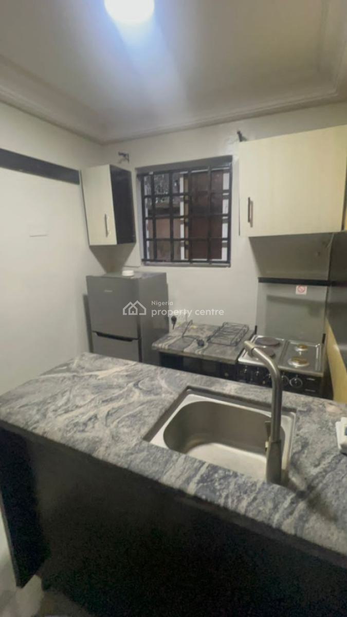 Massive Large Commercial Purposely Built Luxury Building Over 10 Rooms, Victoria Island (vi), Lagos, House for Rent
