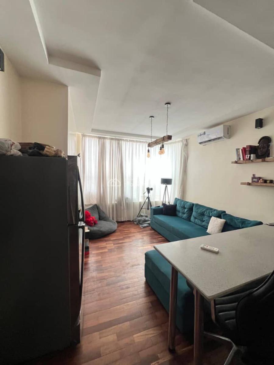 Executive Fully Serviced 1 Bedroom Apartment, Ikate, Lekki, Lagos, Mini Flat (room and Parlour) for Rent